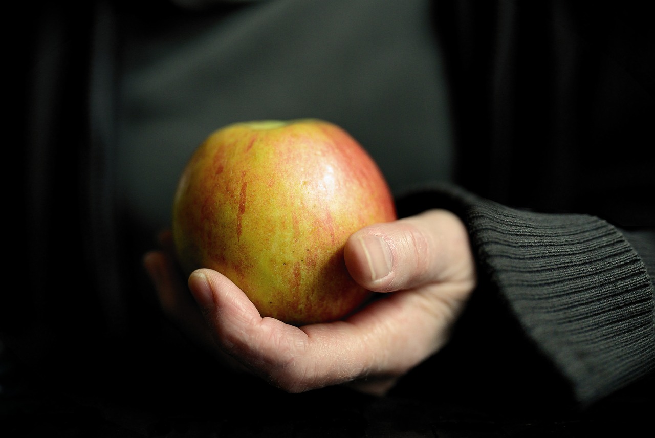 Alimentação Saudável: Como Criar um Plano Alimentar Equilibrado